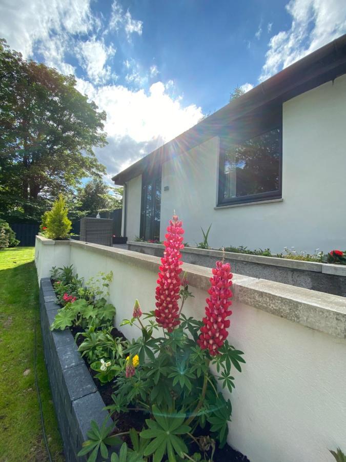 Aurora Suite B&B Coupar Angus Eksteriør bilde