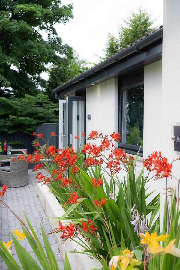 Aurora Suite B&B Coupar Angus Eksteriør bilde